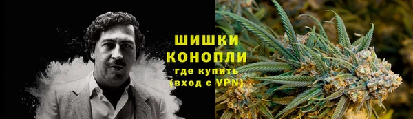 первитин Гусев