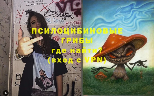 экстази Гусиноозёрск