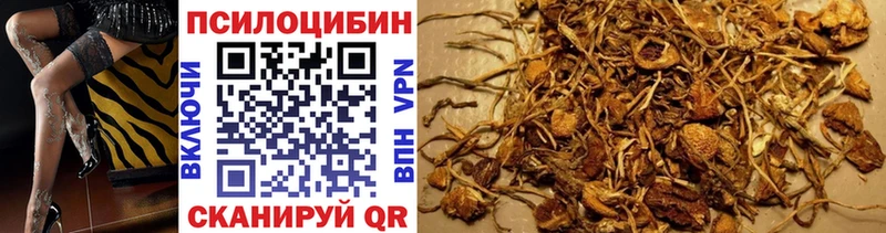 Псилоцибиновые грибы MAGIC MUSHROOMS ссылка на мегу ТОР Кудымкар